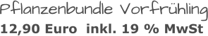 Pflanzenbundle Vorfrühling 12,90 Euro  inkl. 19 % MwSt