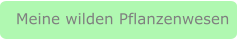 Meine wilden Pflanzenwesen